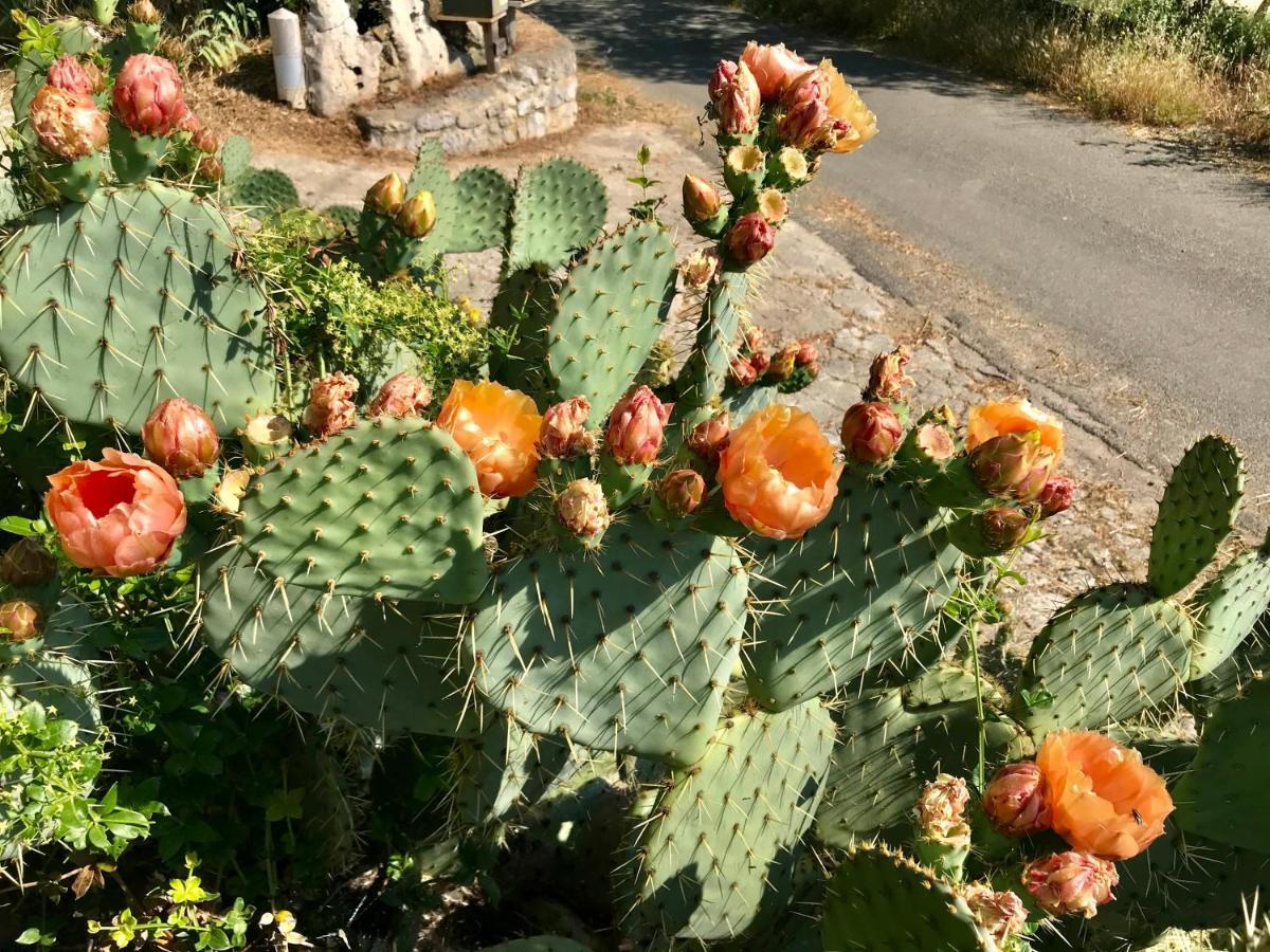 Hebergements Des Posas Sampzon 外观 照片