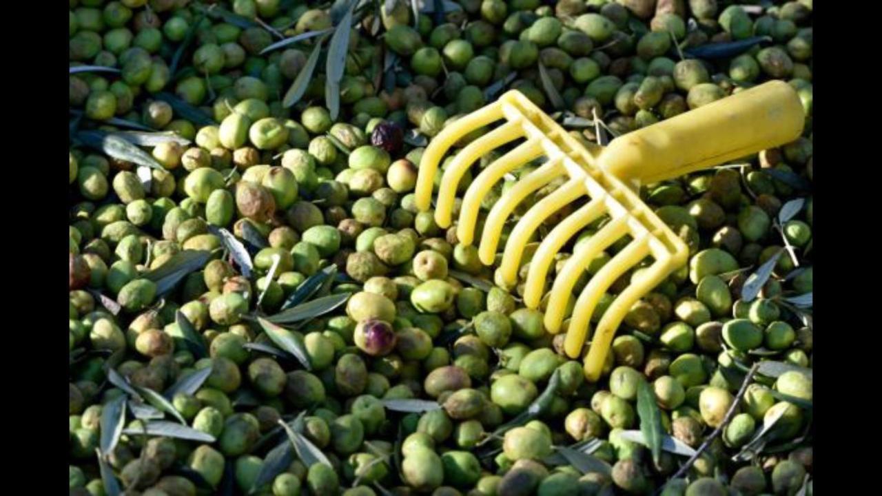 Hebergements Des Posas Sampzon 外观 照片